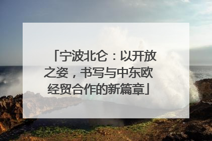 宁波北仑：以开放之姿，书写与中东欧经贸合作的新篇章