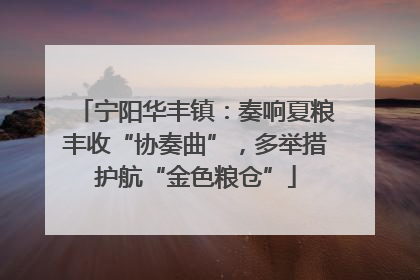 宁阳华丰镇：奏响夏粮丰收“协奏曲”，多举措护航“金色粮仓”
