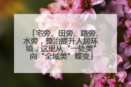 宅旁、田旁、路旁、水旁，整治提升人居环境，这里从“一处美”向“全域美”蝶变