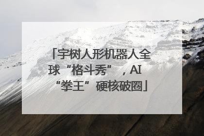 宇树人形机器人全球“格斗秀”，AI“拳王”硬核破圈
