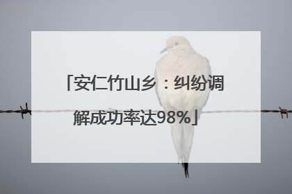 安仁竹山乡：纠纷调解成功率达98%