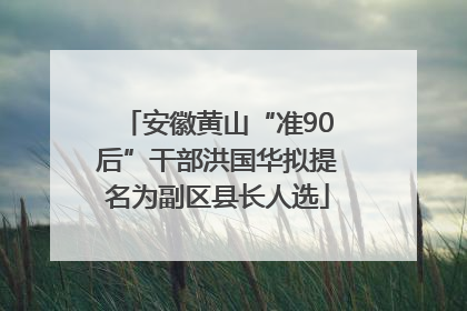 安徽黄山“准90后”干部洪国华拟提名为副区县长人选