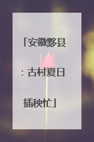 安徽黟县：古村夏日插秧忙