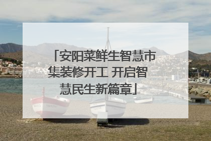 安阳菜鲜生智慧市集装修开工 开启智慧民生新篇章