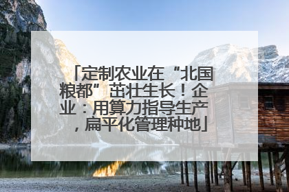 定制农业在“北国粮都”茁壮生长！企业：用算力指导生产，扁平化管理种地