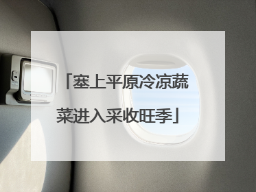 塞上平原冷凉蔬菜进入采收旺季