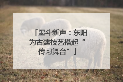 墨斗新声：东阳为古建技艺搭起“传习舞台”