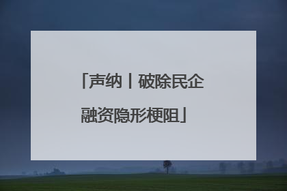 声纳丨破除民企融资隐形梗阻