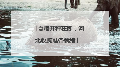夏粮开秤在即，河北收购准备就绪