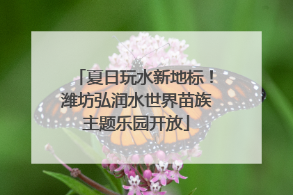 夏日玩水新地标！潍坊弘润水世界苗族主题乐园开放