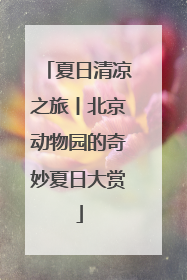 夏日清凉之旅丨北京动物园的奇妙夏日大赏