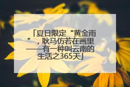 夏日限定“黄金雨”，耿马仿若在画里——有一种叫云南的生活之365天