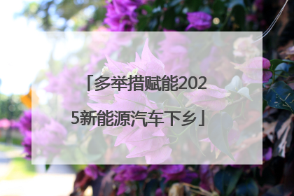 多举措赋能2025新能源汽车下乡