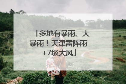 多地有暴雨、大暴雨！天津雷阵雨+7级大风