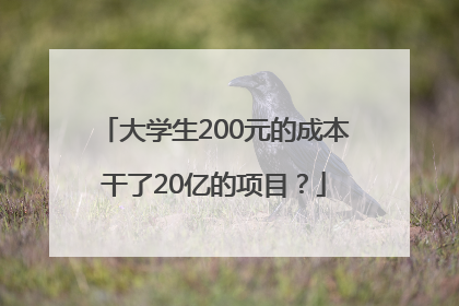 大学生200元的成本干了20亿的项目？