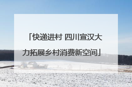 快递进村 四川宣汉大力拓展乡村消费新空间