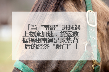 当“南哥”进球遇上物流加速：货运数据揭秘南通足球热背后的经济“射门”