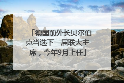 德国前外长贝尔伯克当选下一届联大主席，今年9月上任