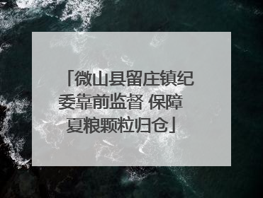 微山县留庄镇纪委靠前监督 保障夏粮颗粒归仓