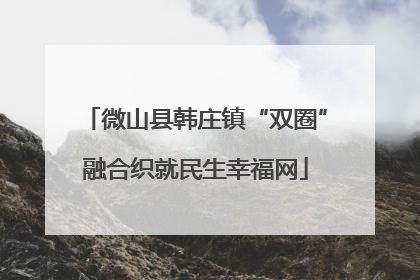 微山县韩庄镇“双圈”融合织就民生幸福网