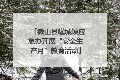 微山县驩城镇应急办开展“安全生产月”教育活动