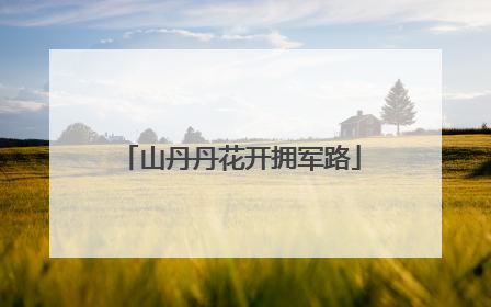 山丹丹花开拥军路
