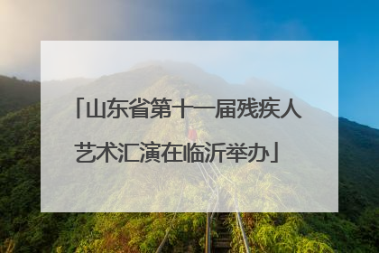 山东省第十一届残疾人艺术汇演在临沂举办