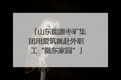 山东能源枣矿集团用爱筑就赴外职工“陇东家园”