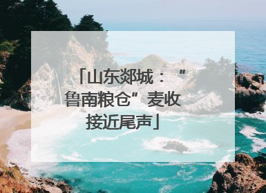山东郯城：“鲁南粮仓”麦收接近尾声