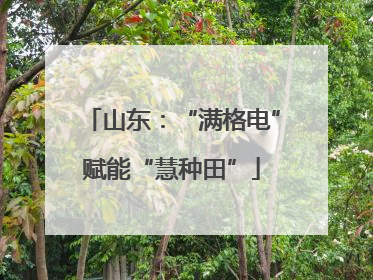 山东：“满格电”赋能“慧种田”