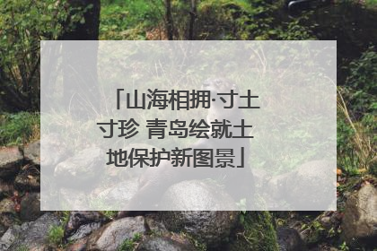 山海相拥·寸土寸珍 青岛绘就土地保护新图景
