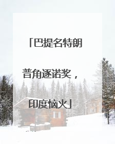 巴提名特朗普角逐诺奖，印度恼火