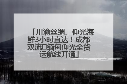 川渝丝绸、仰光海鲜3小时直达！成都双流⇌缅甸仰光全货运航线开通