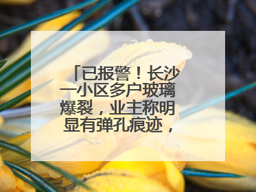 已报警！长沙一小区多户玻璃爆裂，业主称明显有弹孔痕迹，“疑似有人用气枪打鸟造成”