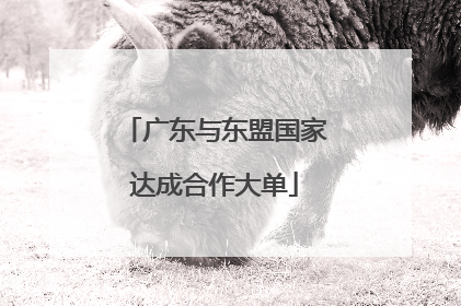 广东与东盟国家达成合作大单