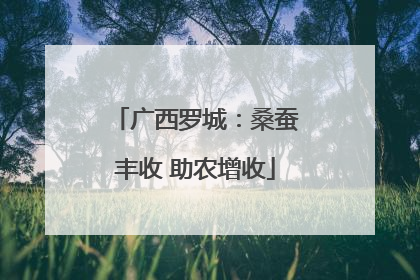 广西罗城：桑蚕丰收 助农增收