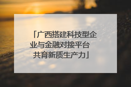 广西搭建科技型企业与金融对接平台 共育新质生产力
