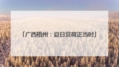 广西梧州：夏日赏荷正当时