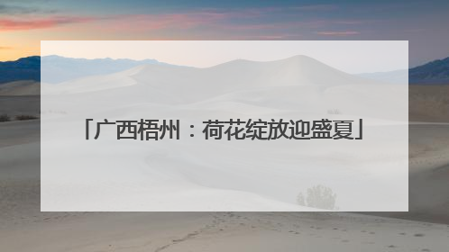 广西梧州：荷花绽放迎盛夏