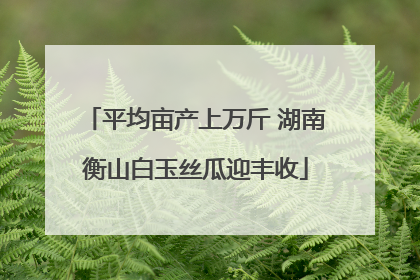 平均亩产上万斤 湖南衡山白玉丝瓜迎丰收