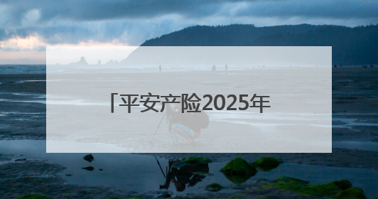 平安产险2025年“安全生产月”活动暨“乡风文明”爱心捐赠仪式在菏泽单县举行
