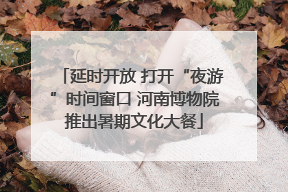 延时开放 打开“夜游”时间窗口 河南博物院推出暑期文化大餐