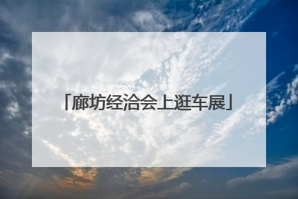 廊坊经洽会上逛车展