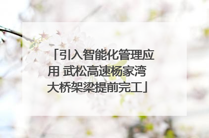 引入智能化管理应用 武松高速杨家湾大桥架梁提前完工