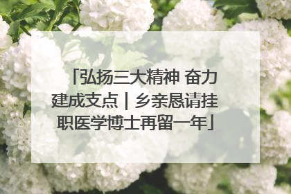 弘扬三大精神 奋力建成支点｜乡亲恳请挂职医学博士再留一年