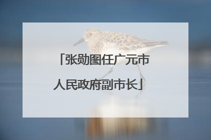 张勋图任广元市人民政府副市长