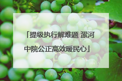 提级执行解难题 漯河中院公正高效暖民心