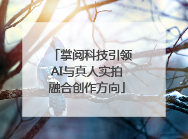 掌阅科技引领AI与真人实拍融合创作方向