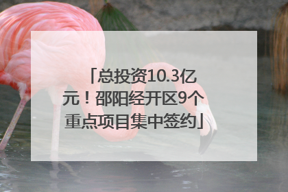 总投资10.3亿元！邵阳经开区9个重点项目集中签约