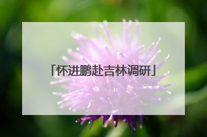 怀进鹏赴吉林调研
